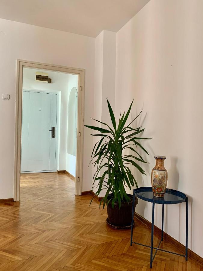 Apartment Star Belgrad